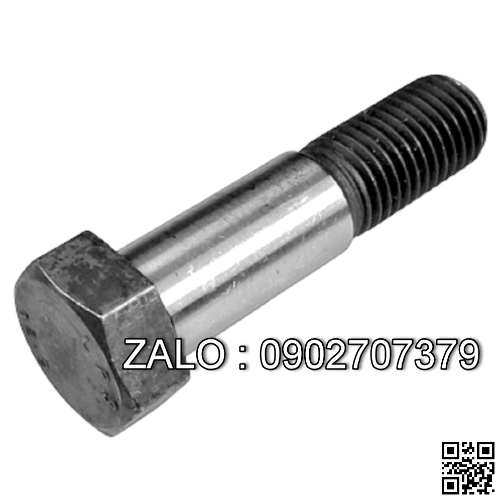 Bulong Dẫn Hướng Thép Đen 8.8 DIN609 M16x70