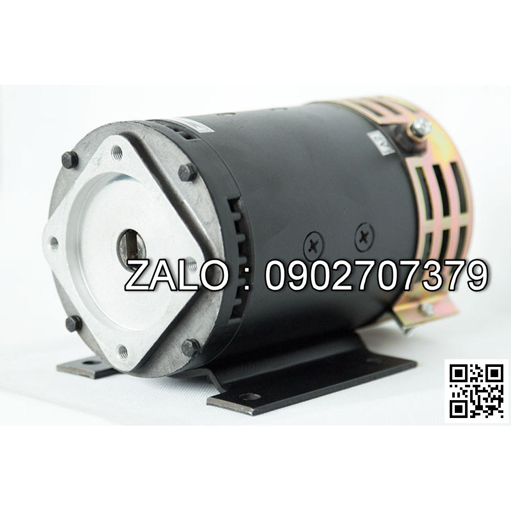 Steering Motor XQD-0.75-3