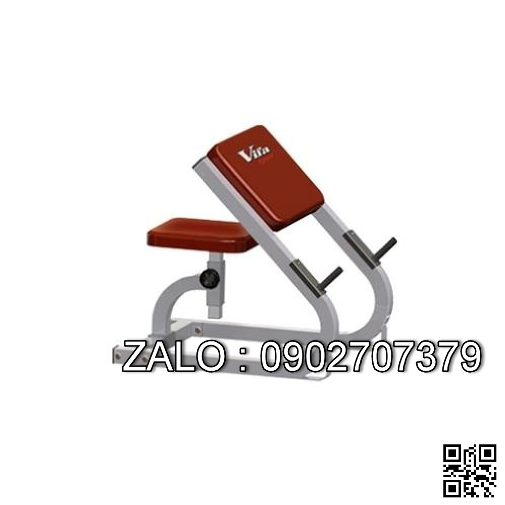 Ghế tập tay trước VGB5301