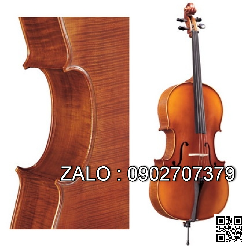 Dan Pearl River Cello C033
