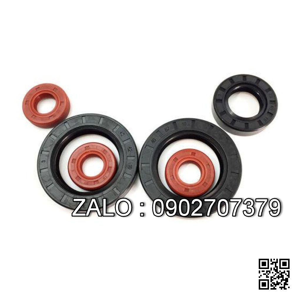 Phốt lò xo TC 12x25x6 12*25*6 25x12x6