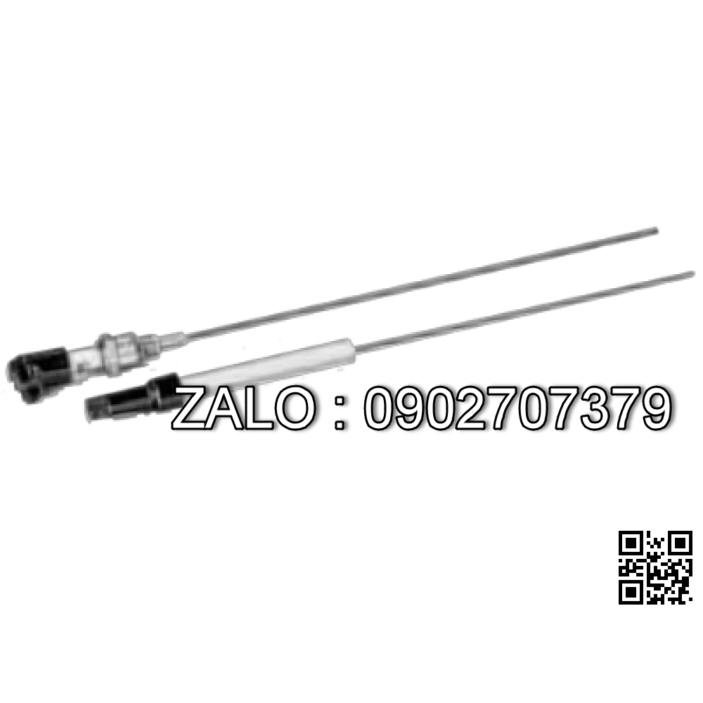 Điện cực đánh lửa 3012015