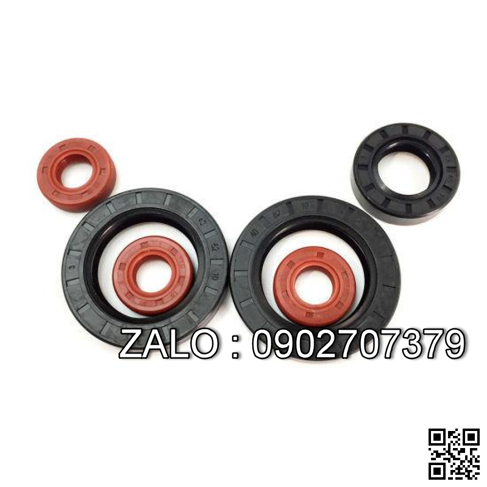 Phốt lò xo TC 20x32x8 20*32*8 32x20x8