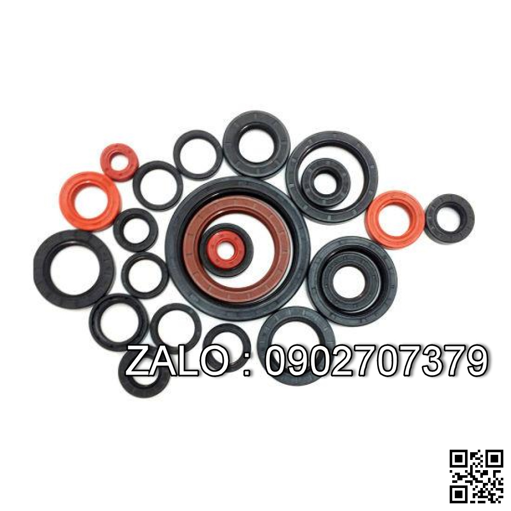Phốt lò xo TC 20x32x8 20*32*8 32x20x8