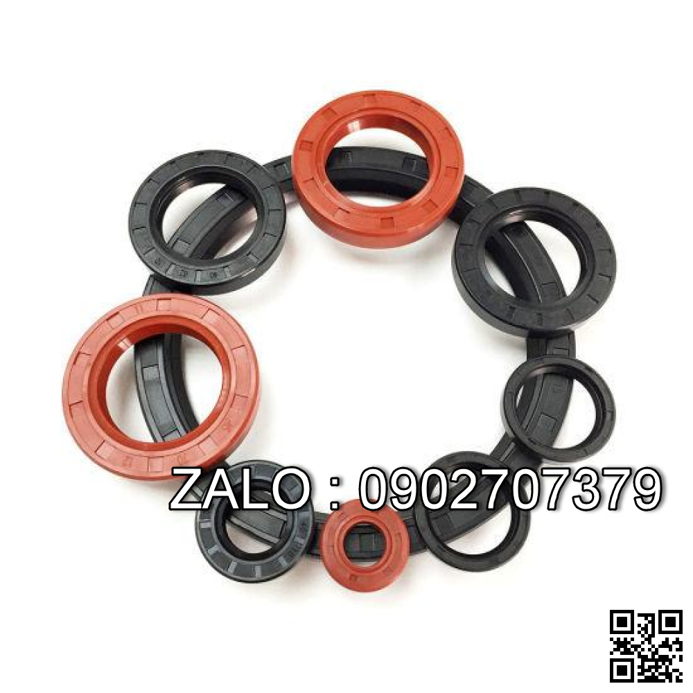 Phốt lò xo TC 25x48x8 25*48*8 48x25x8