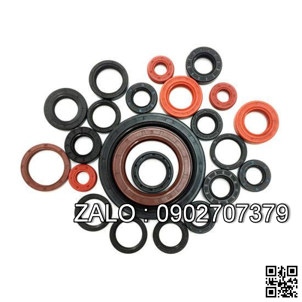 Phốt lò xo TC 22x28x4 22*28*4 28x22x4