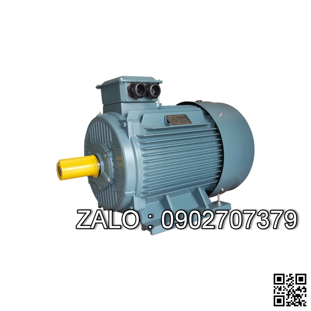 Motor Hộp số 5.5KW rated speed:1465 rpm, output speed : 31rpm 400/690V,50Hz type: HG 110A 3C 132S-04E-TH-TF-BR100-SG