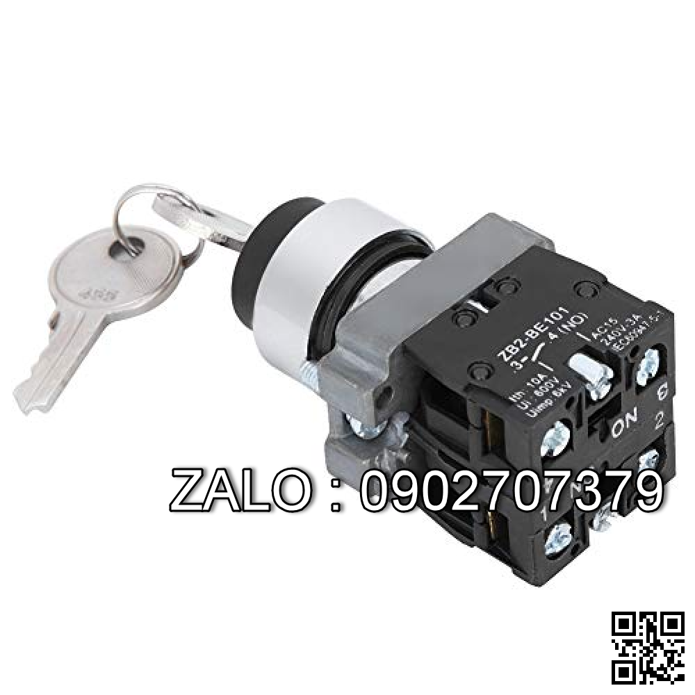 KEY SWITCH (FOR ELEC) 4003998