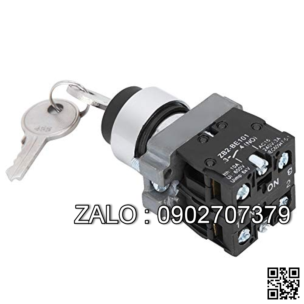 KEY SWITCH (FOR ELEC) 254007