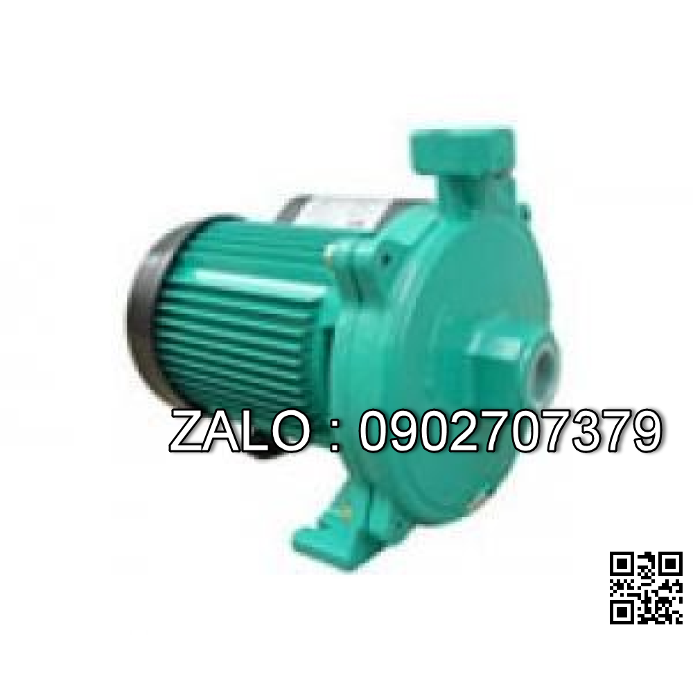 Máy bơm nước chân không Wilo PW-175E