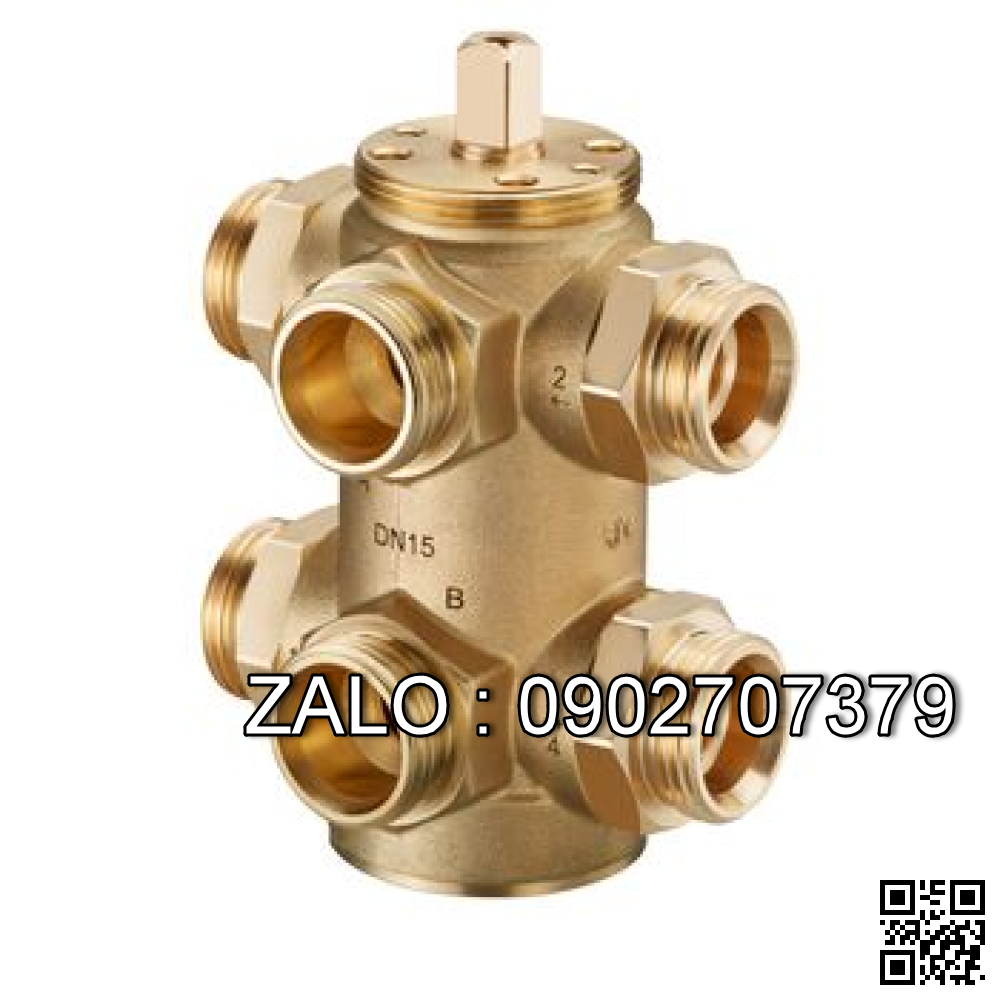 Van bi thau ren trong ỏ giữa 6 ngã DN10