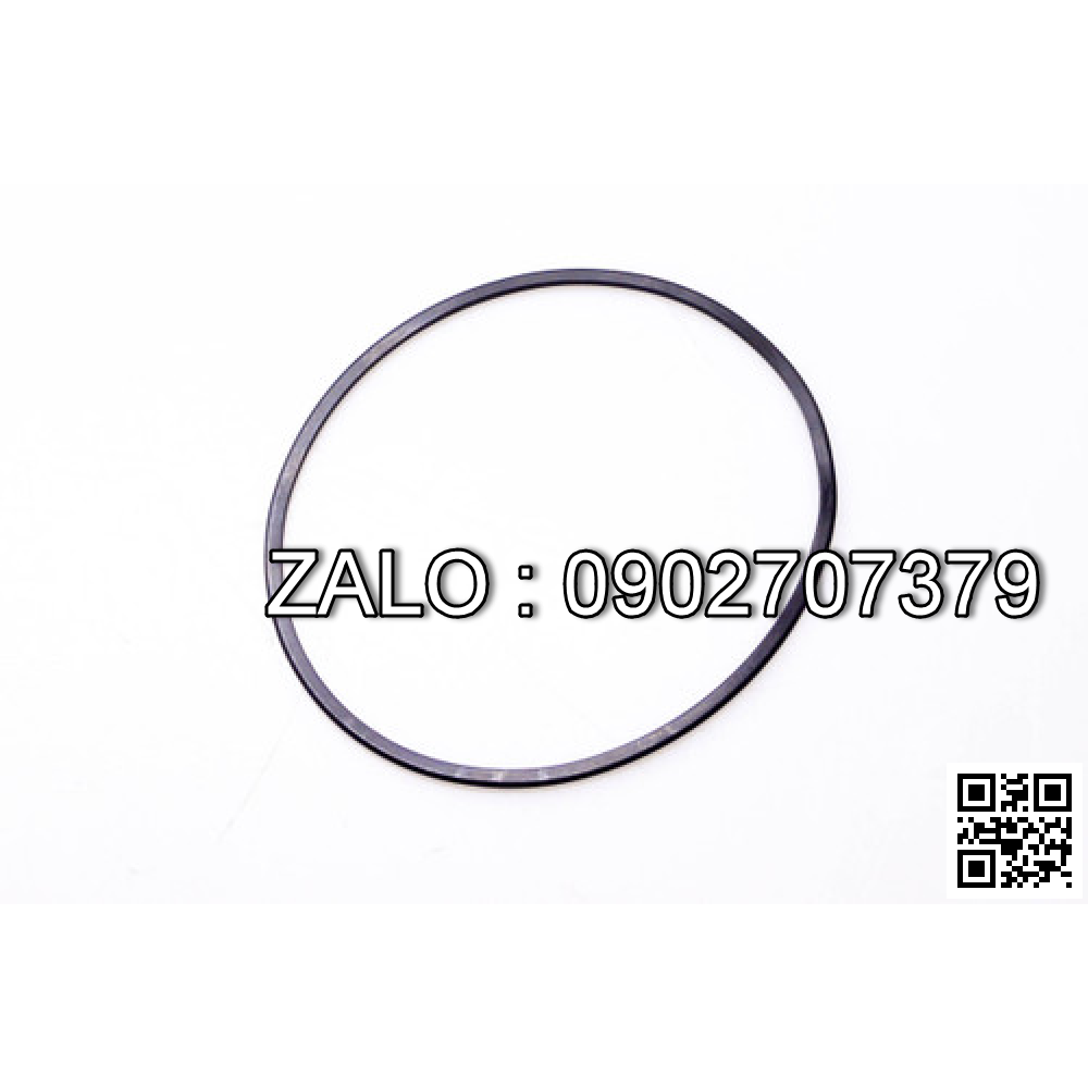 Ring Seal 15493-82501