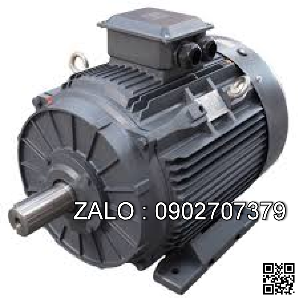 Motor điện 3 pha 0.55kw 2 cực điện