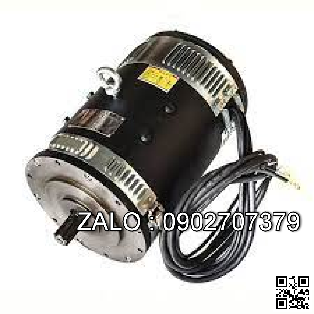 CAS130398 ELECTRIC MOTOR
