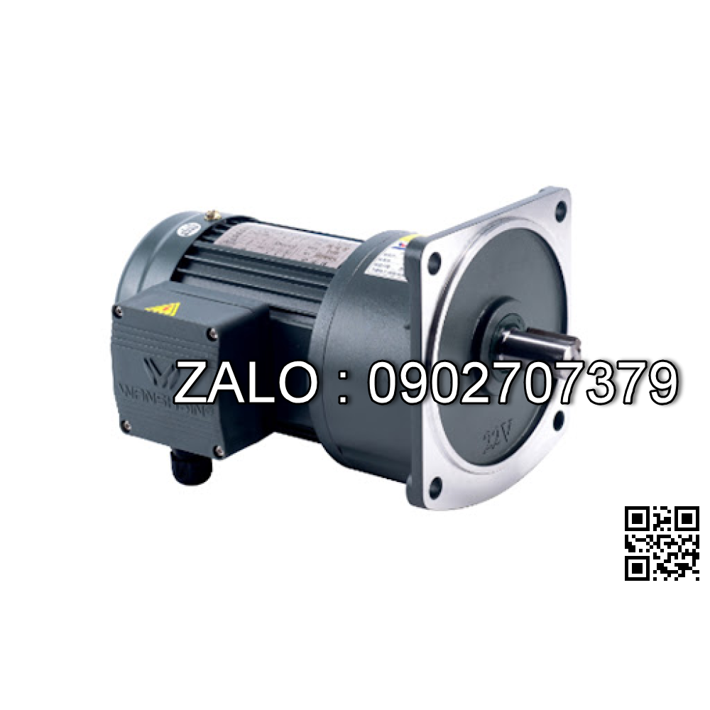 Motor giảm tốc 3 pha mặt bích TransmaX 200W 1/15 18mm