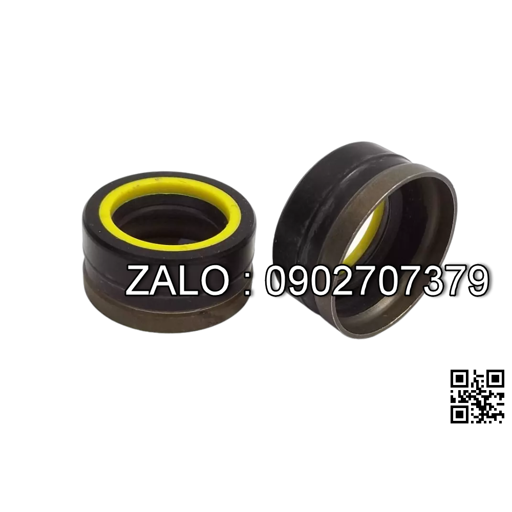 Phốt GNB1 30x48x8.5