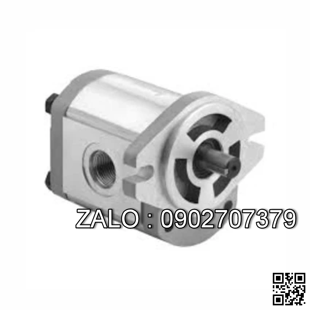 Bơm thủy lực HGP-33A-L66- RX-2B-10