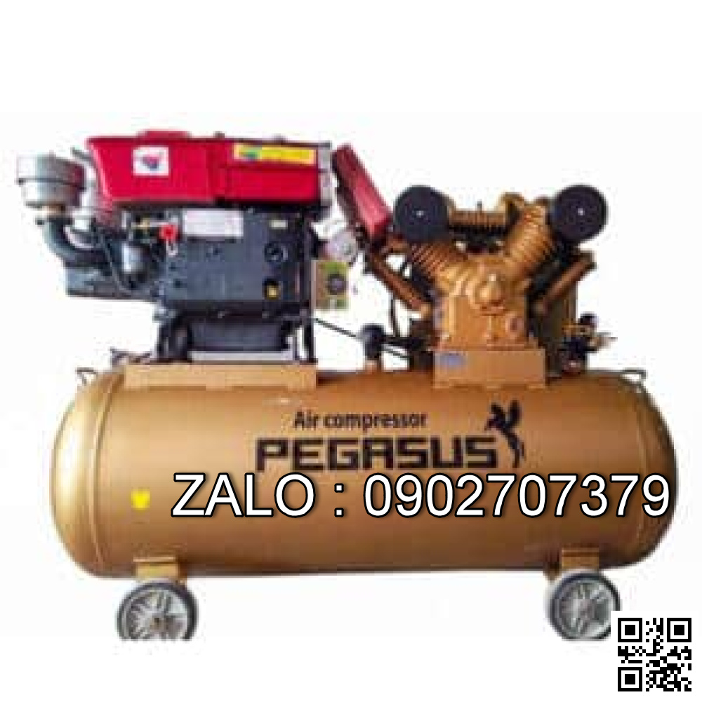 Máy nén khí sử dụng dầu DIESEL Pegasus TM-W-1.05/12.5-500L-10HP (Đầu nổ D24)