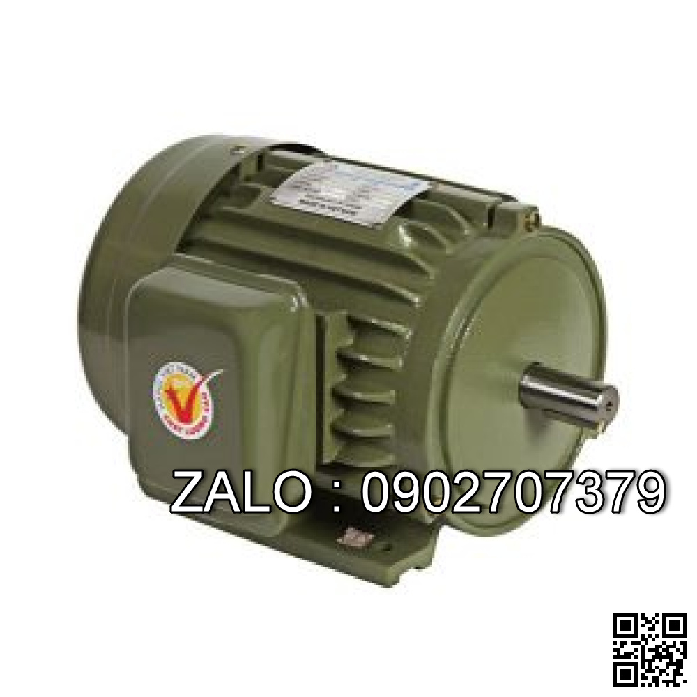 Mô tơ vỏ gang 3HP Hồng Ký HKM312