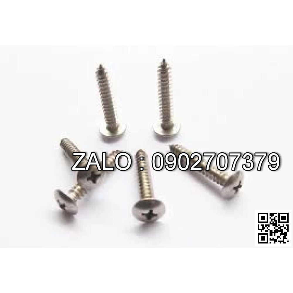 Vít gỗ đầu dù Inox M6 10 mm - 20Chiếc/Gói