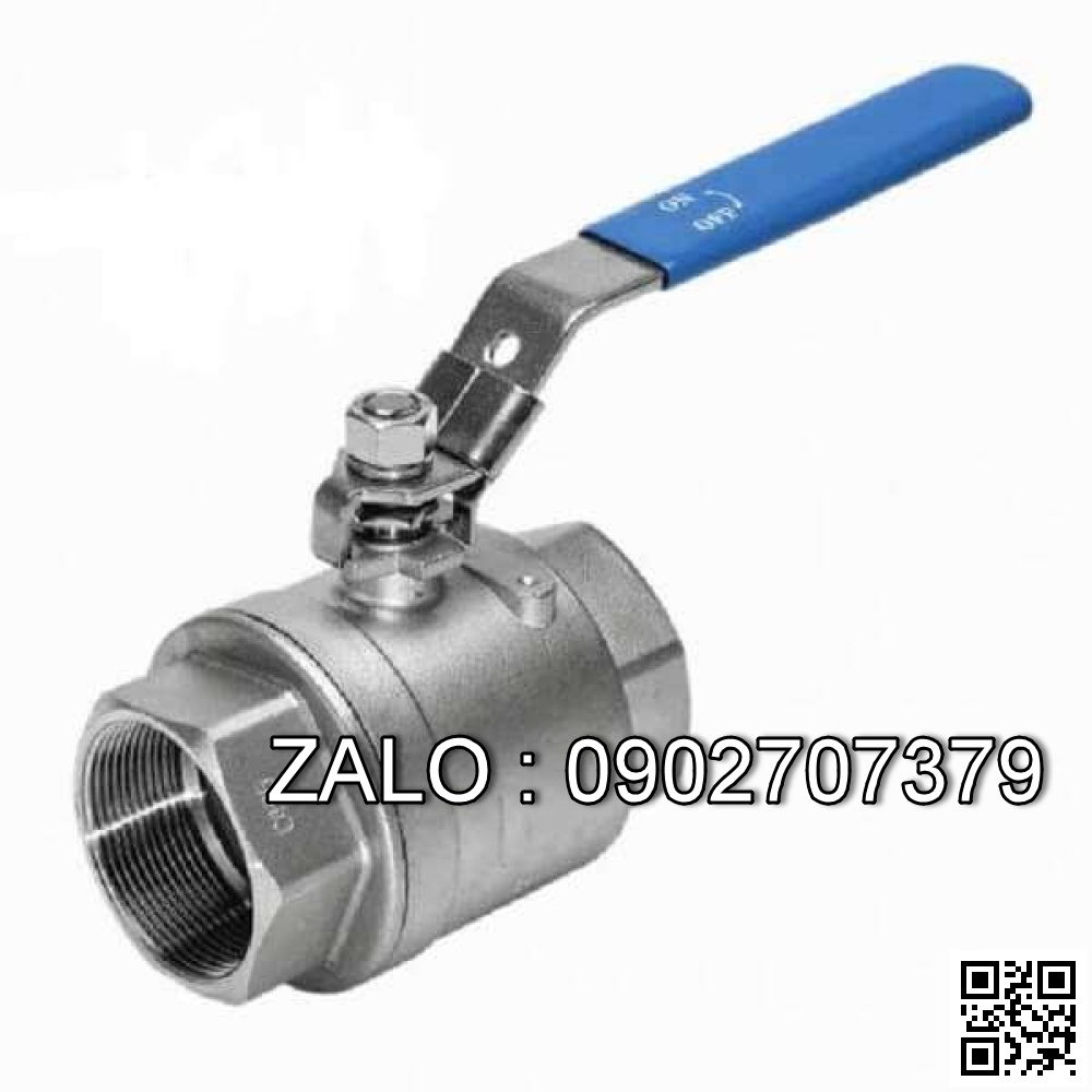 Van bi ren 2 PC SUS 316 DN250
