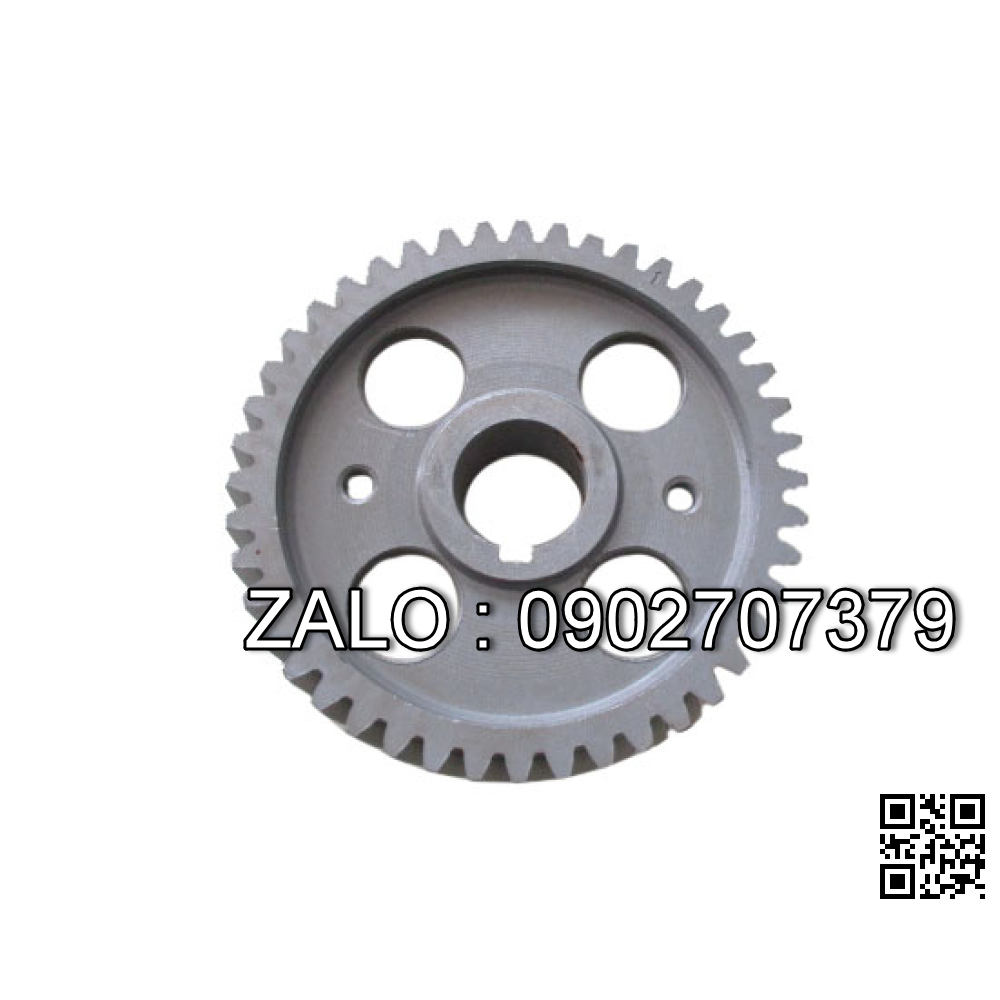 Camshaft Timing Gear 490BPG-02009-CY