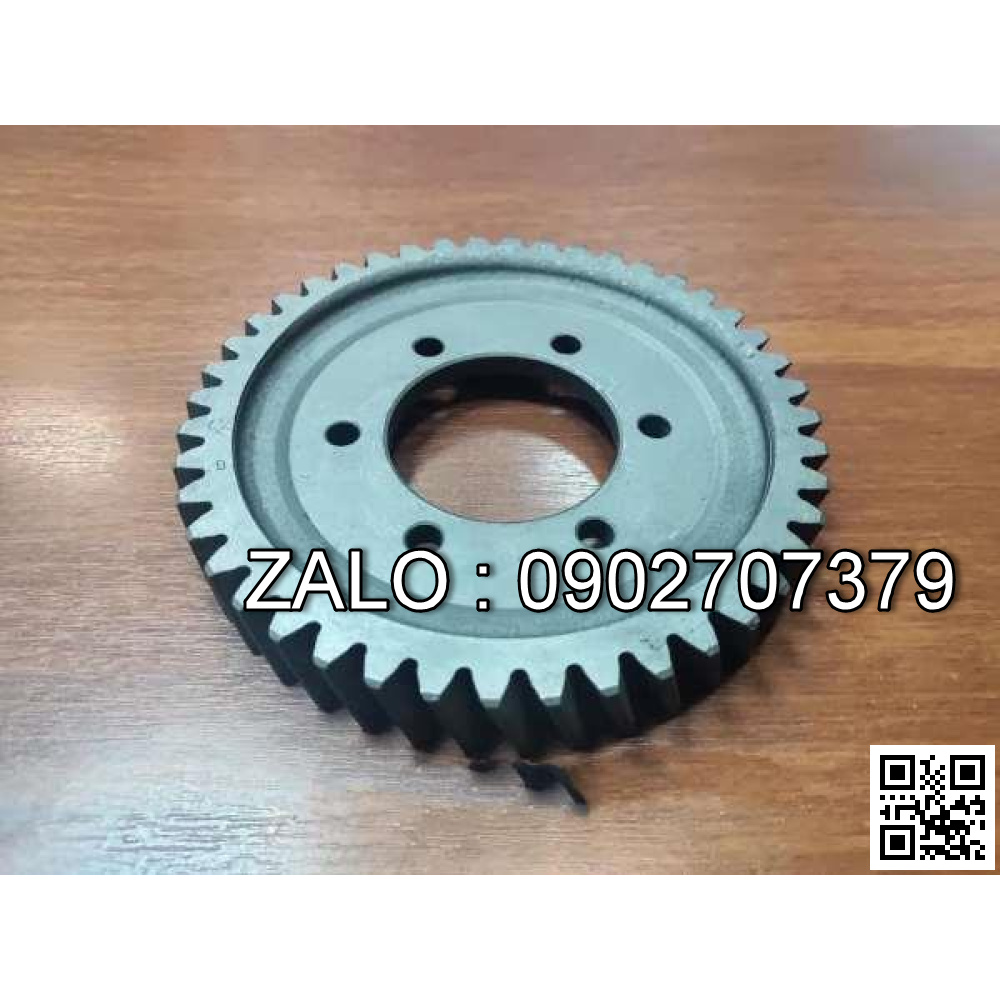 Timing Gear 490BPG-02003-CY