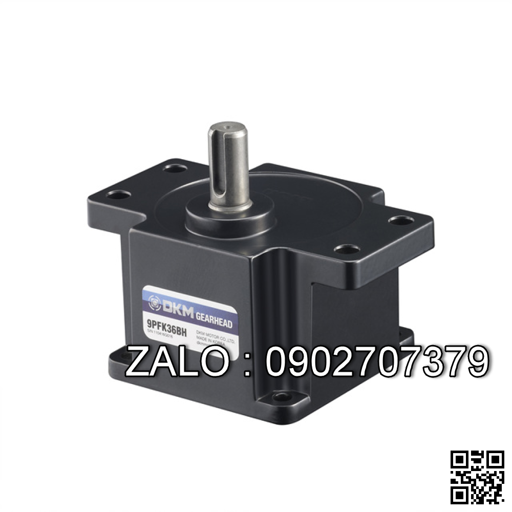 Động cơ DKM motor 5IK40RAW-60U