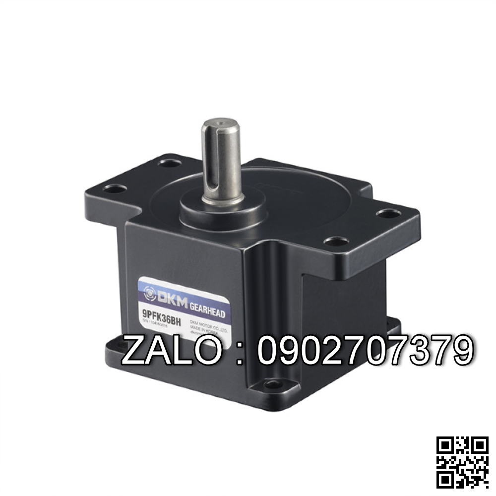 Động cơ DKM motor 9IDGE-90FG-T