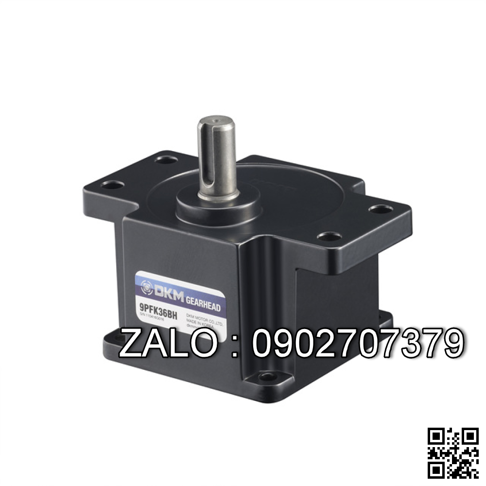Động cơ DKM motor 9IDGK-90FG-T