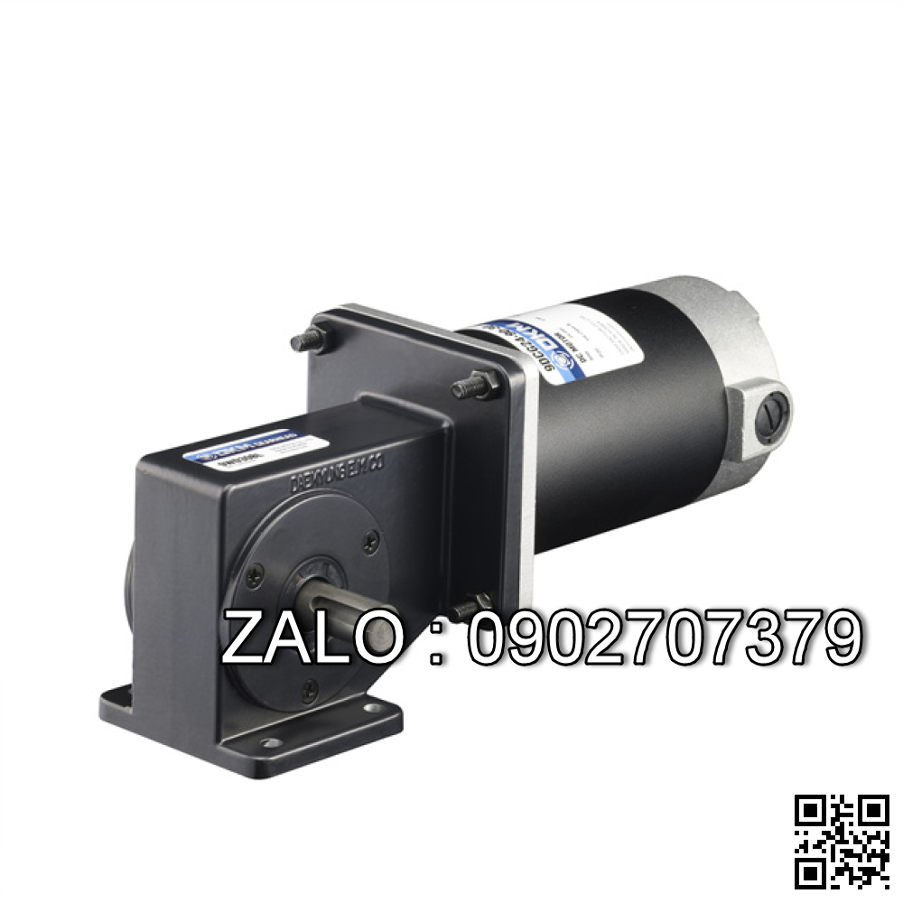 Động cơ DKM motor 9IDGD-120FP-T