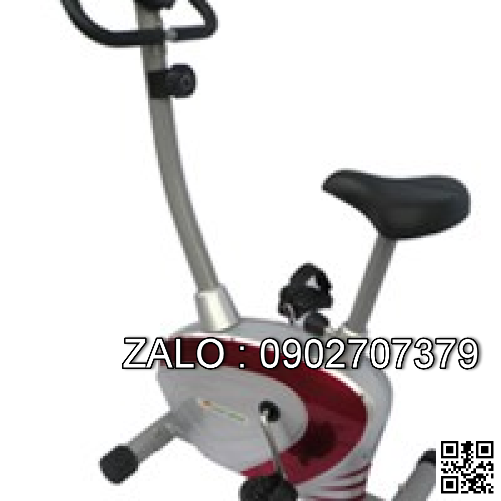 Xe đạp thể lực cố định Royal MUB-549C