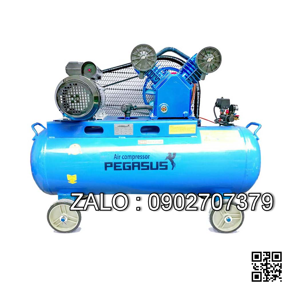 Máy Nén Khí Chạy Dầu Diesen PEGASUS TMW-1.0/8-500L (10HP)