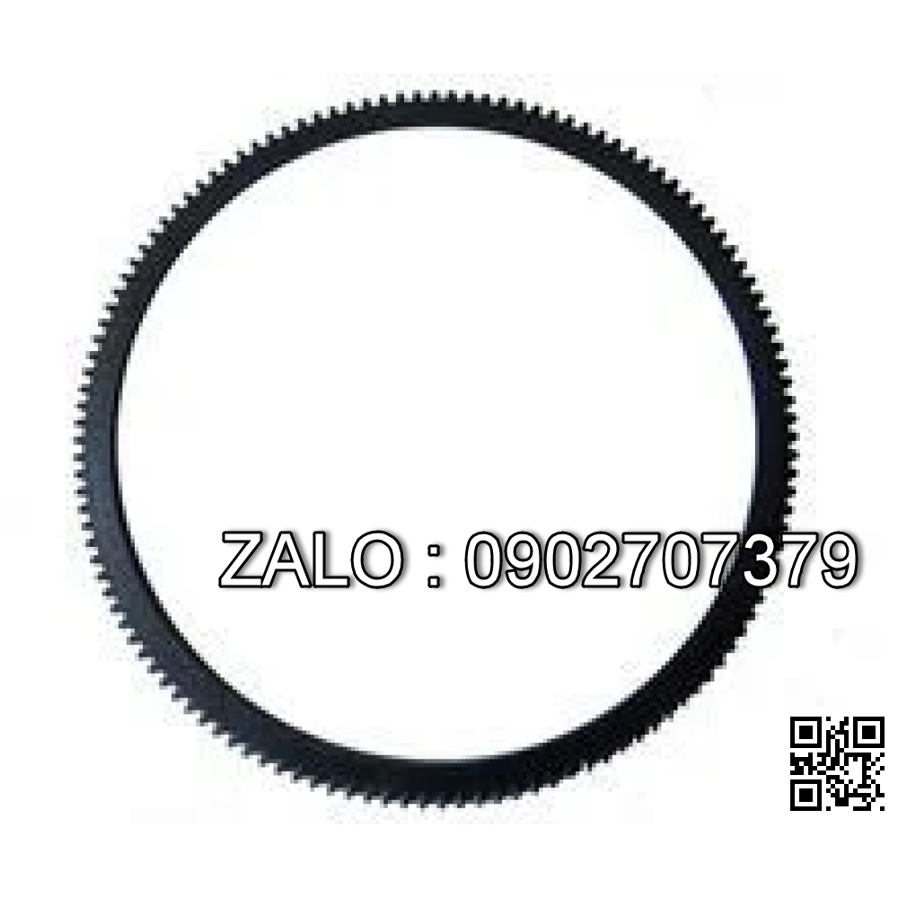 Flywheel Ring Gear 2409000510200Z