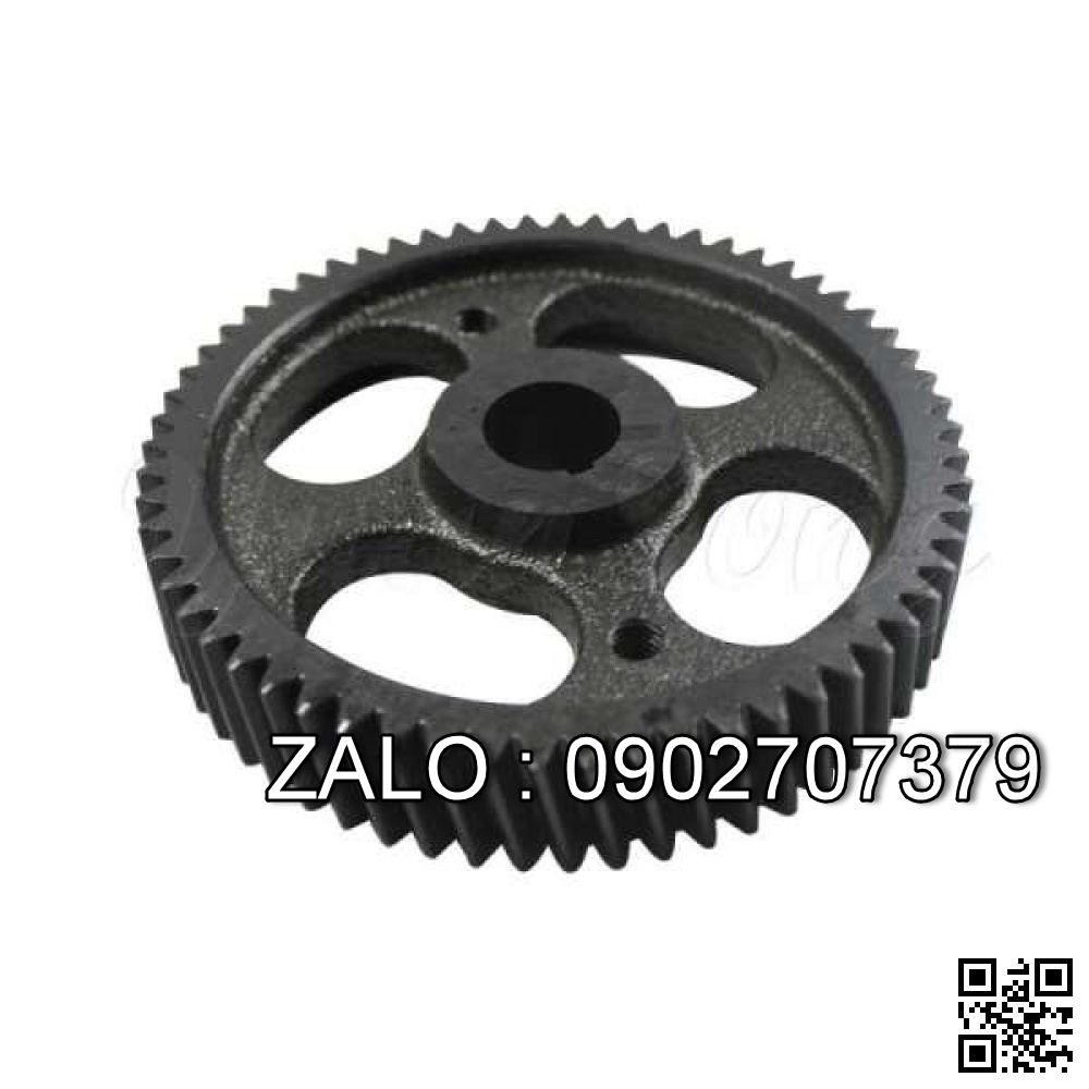 Injection Pump Assy 4I381-85左1325