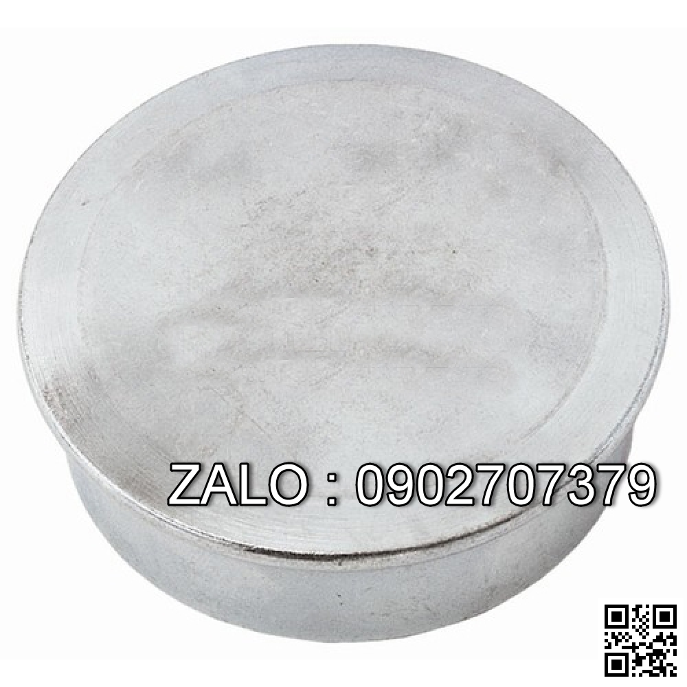 HUB CAP 43815-20540-71