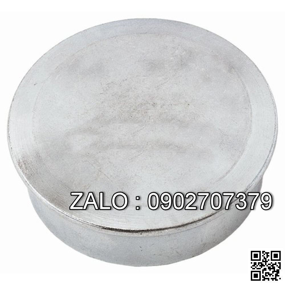 HUB CAP 69029 HY