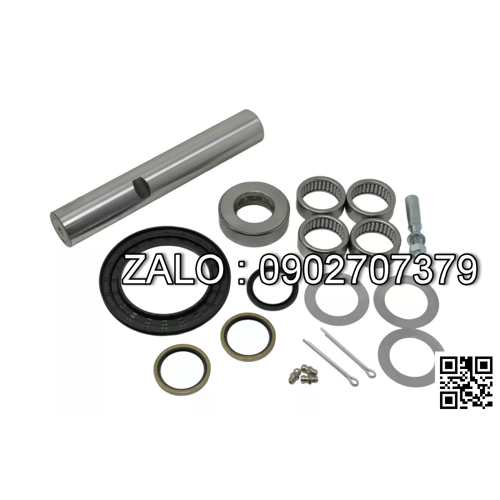 KIT-KING PIN 2I6218 TO