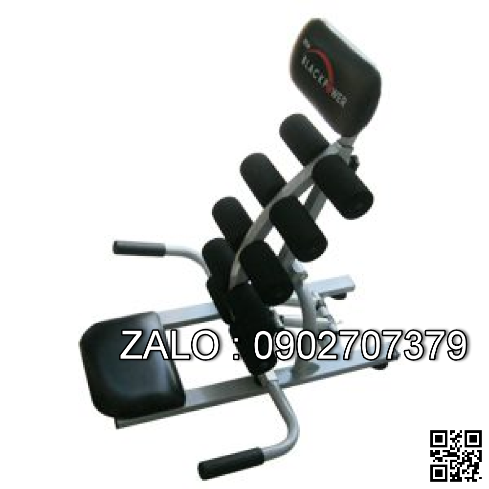 Máy tập cơ chân sau 9009