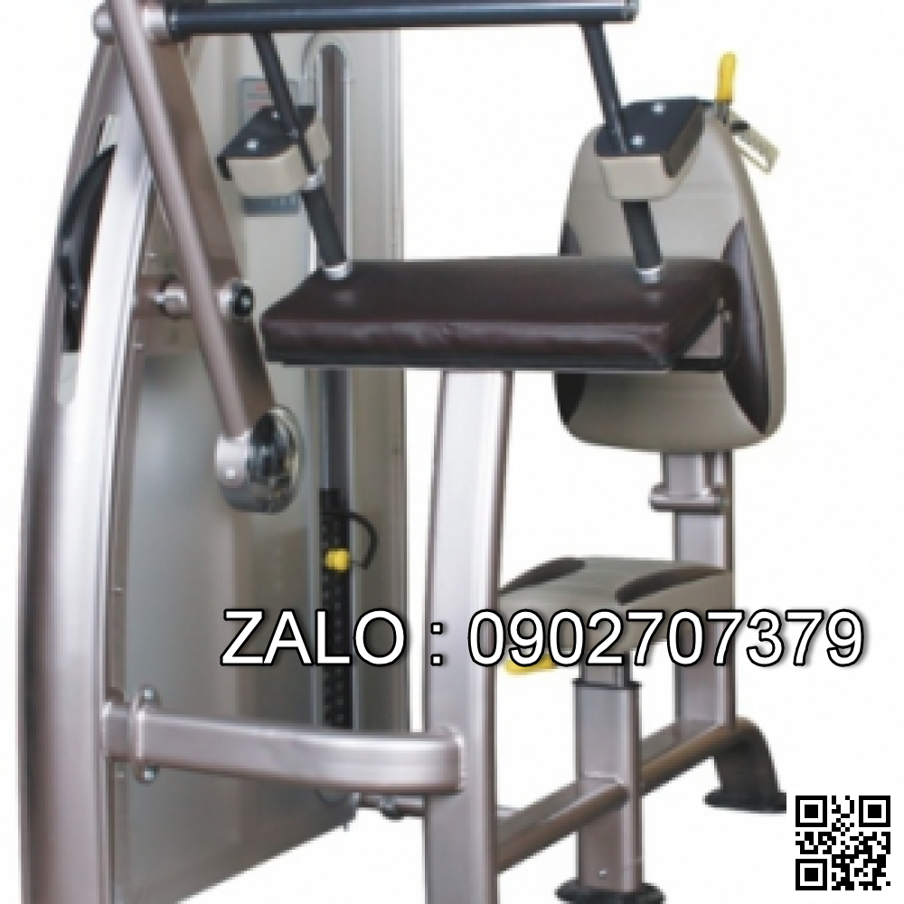 Máy tập tay sau 9002
