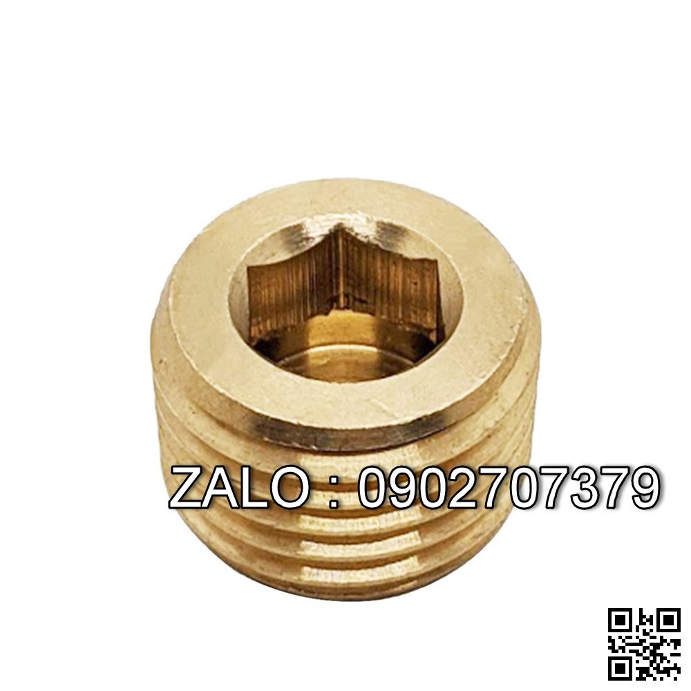 Ốc Nhét Nước Lục Giác Bằng Đồng Ren PT 1/2