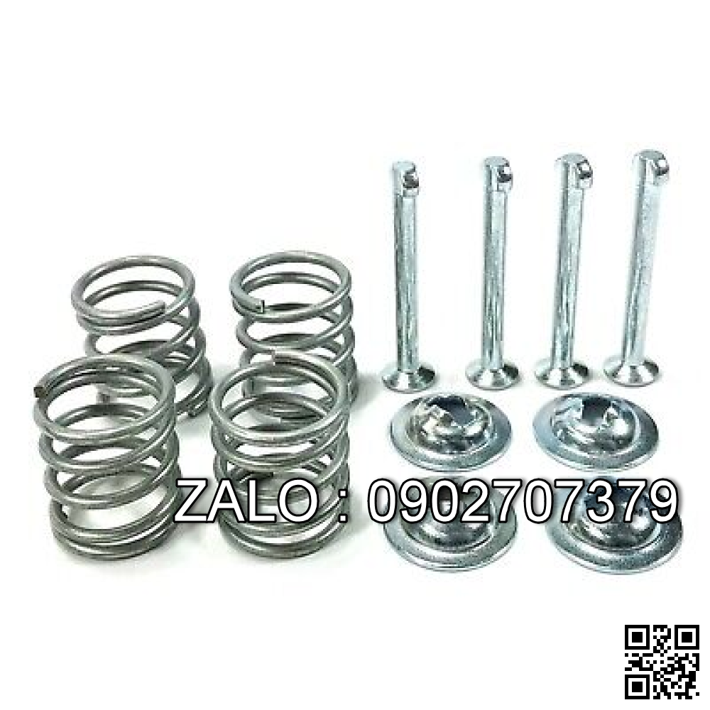 KIT-SHOE HOLD DOWN PIN 513565802 YT