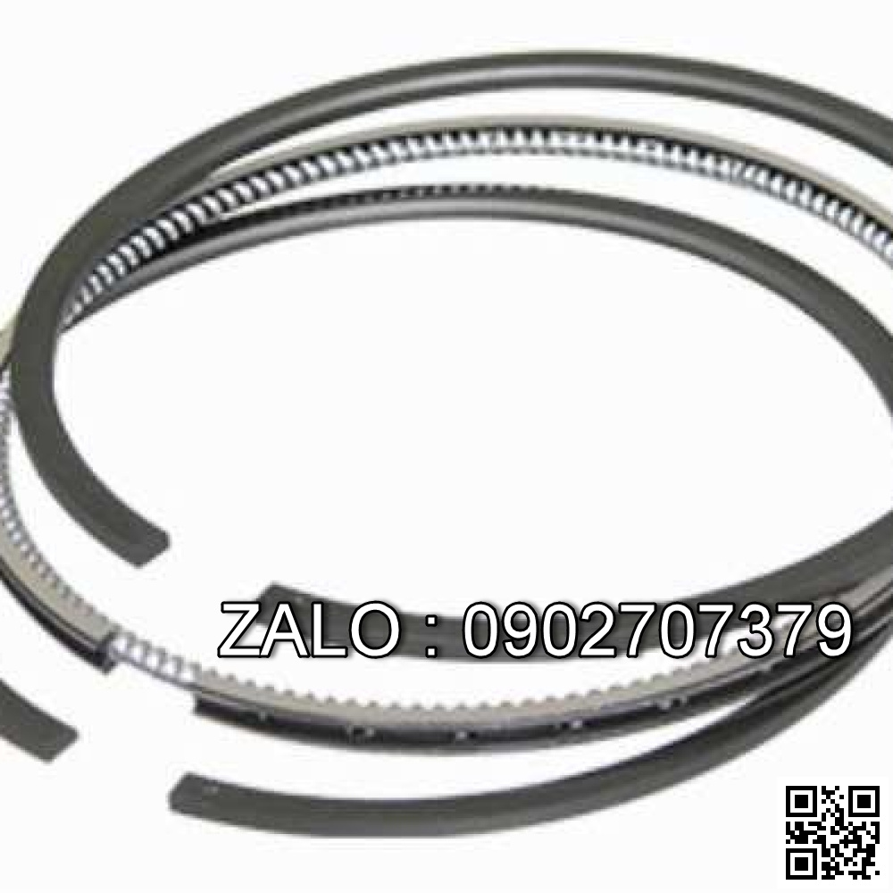 Bạc xéc măng HANGCHA 495BPG,A495BPG