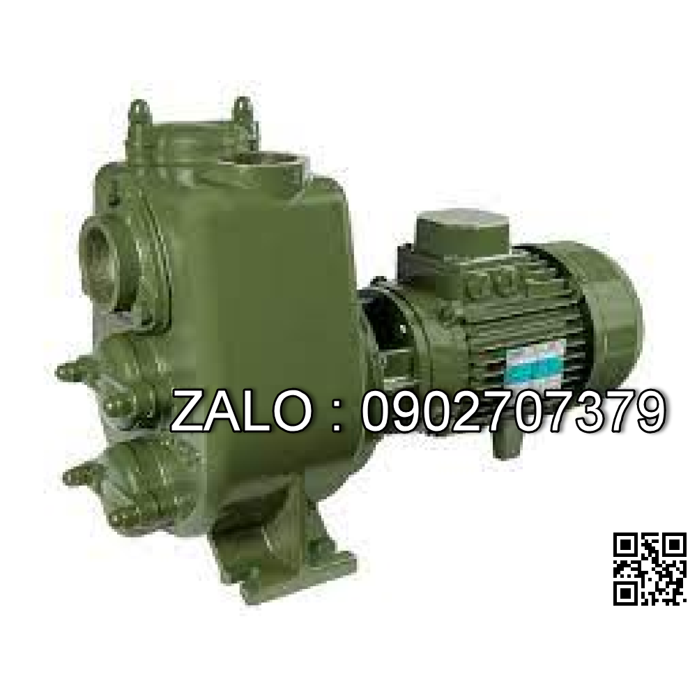 Máy bơm giếng GN-250H