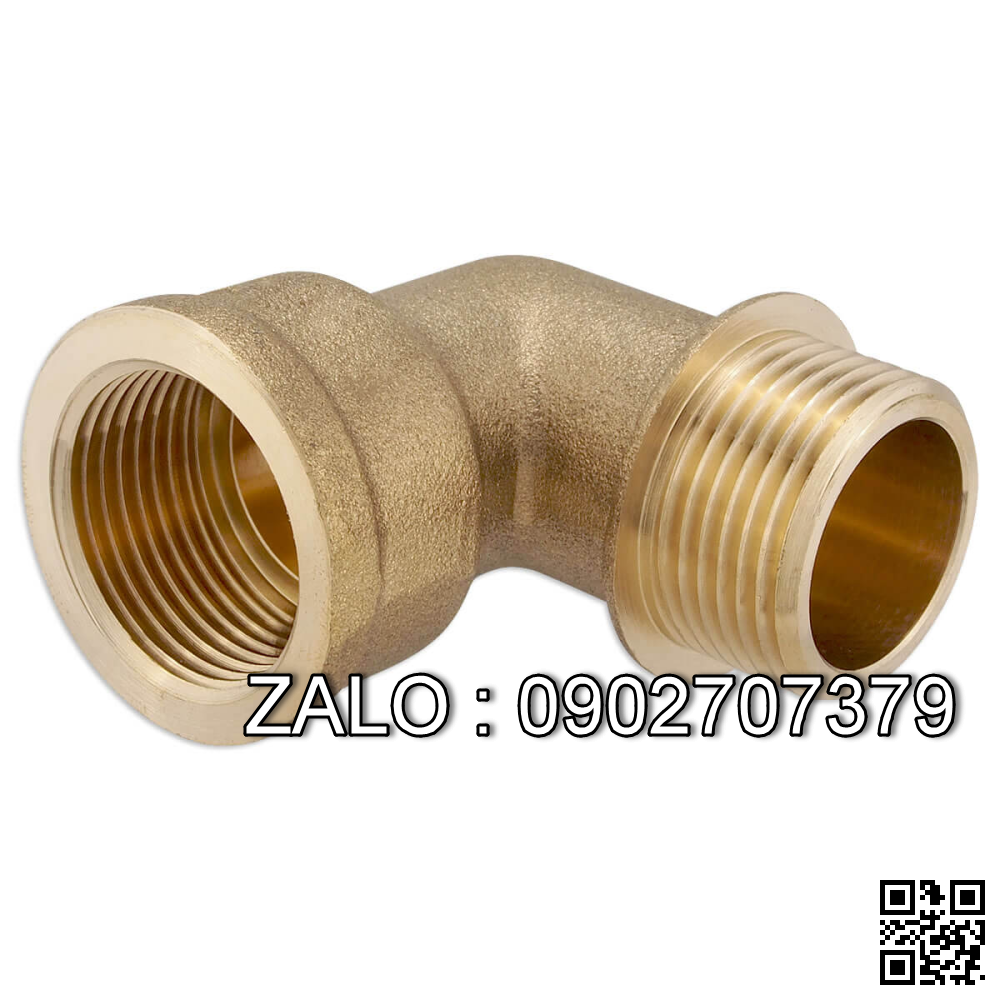 Co điếu ren trong thau DN100