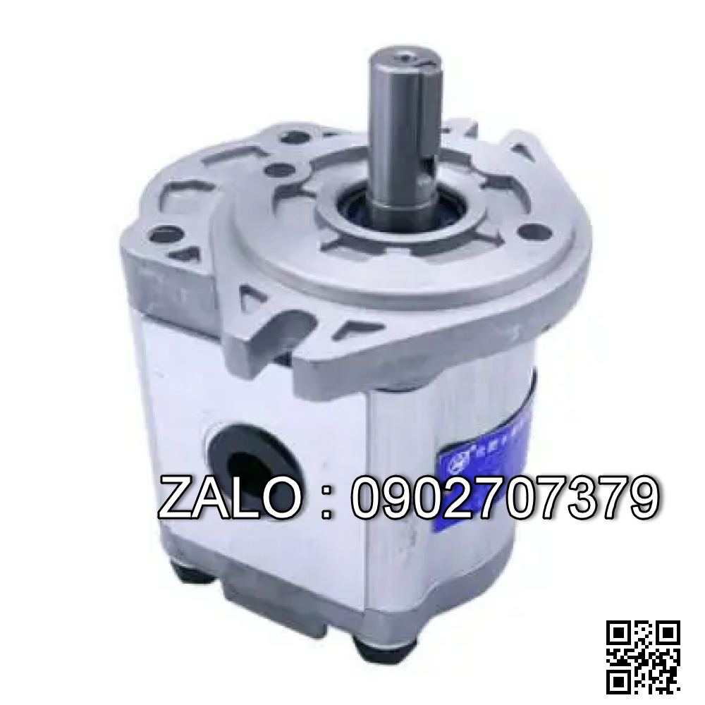 Bơm thủy lực bánh răng CBW-F325-CLBL