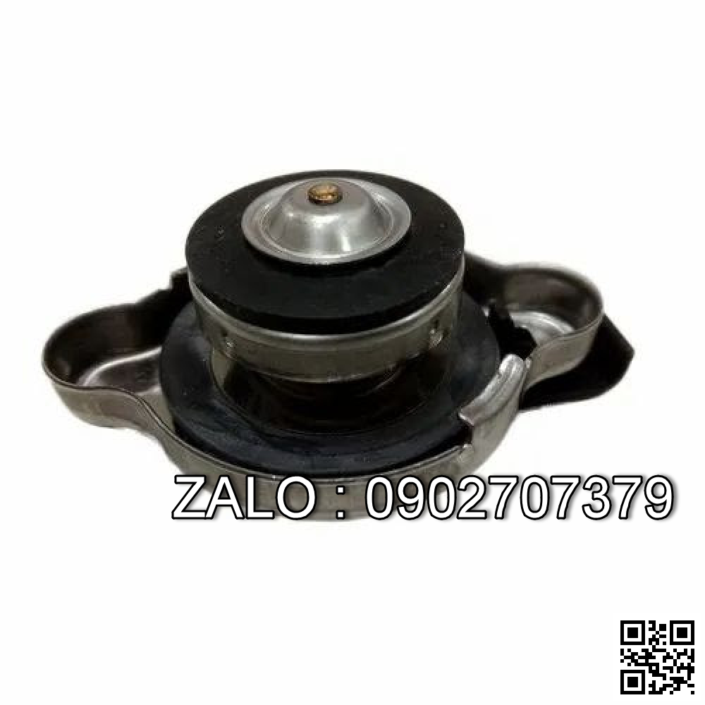 CAP-RADIATOR 13 PSI 3048470 HY