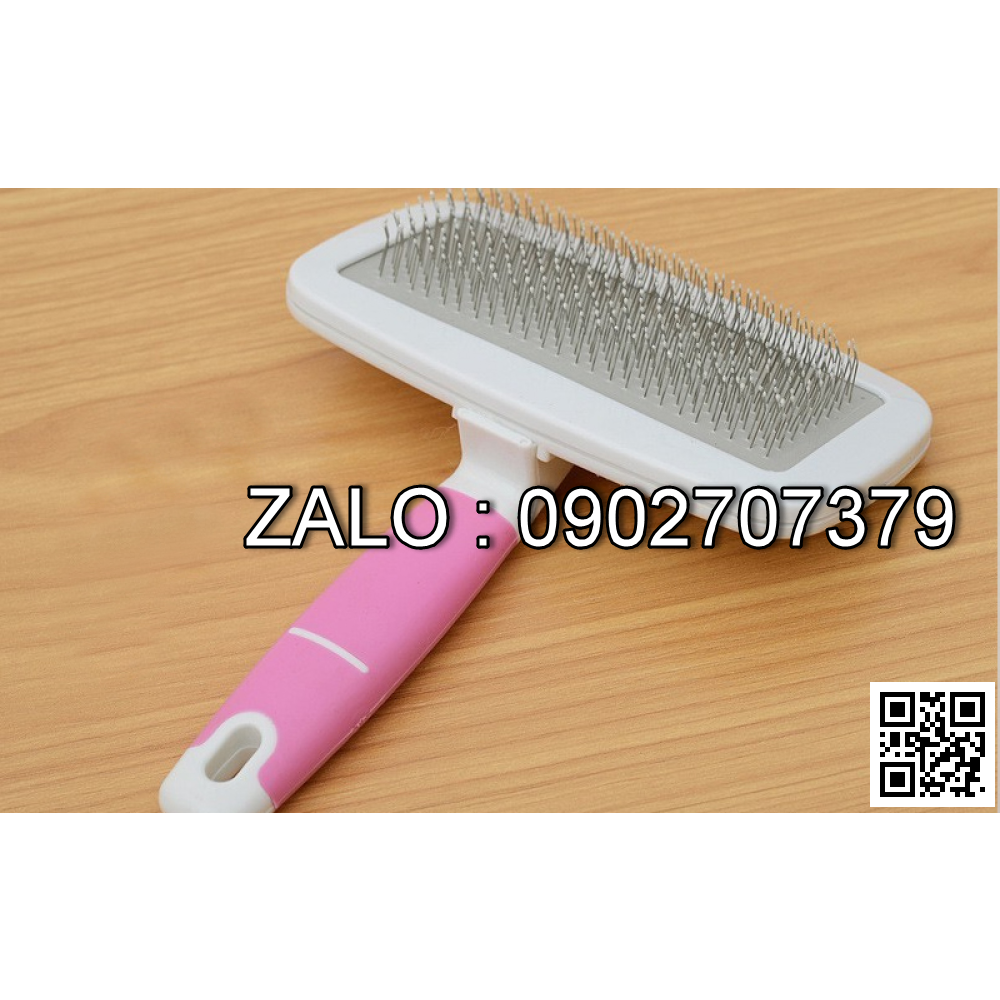 Bàn Chải Lông Chó