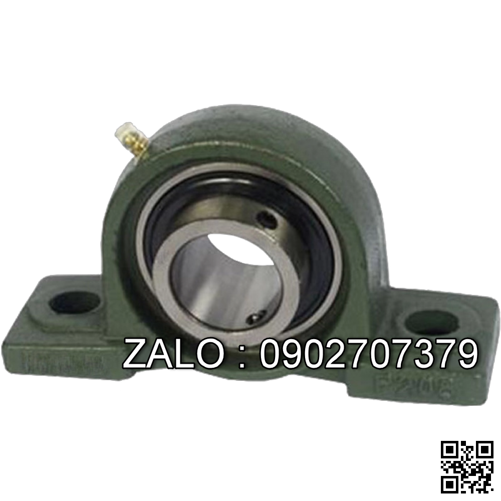 Gối đỡ P203 NSK