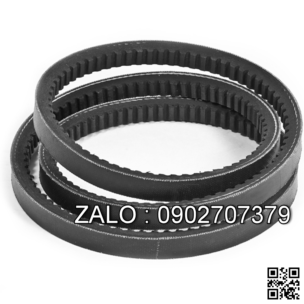 Dây curoa DIVBELT MD079696 MPMF-1355